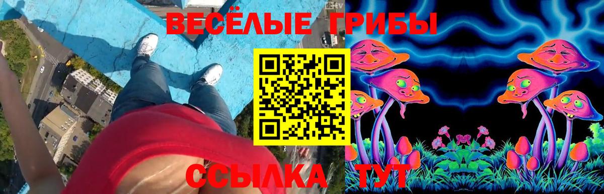 Псилоцибиновые грибы Magic Shrooms Губкинский