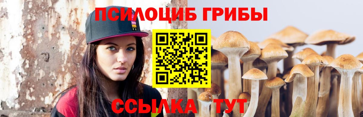 Губкинский  Псилоцибиновые грибы прущие грибы  Вход с VPN  Галлюциногенные грибы MAGIC MUSHROOMS 